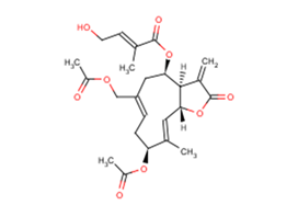 Eupalinolide BͼƬ