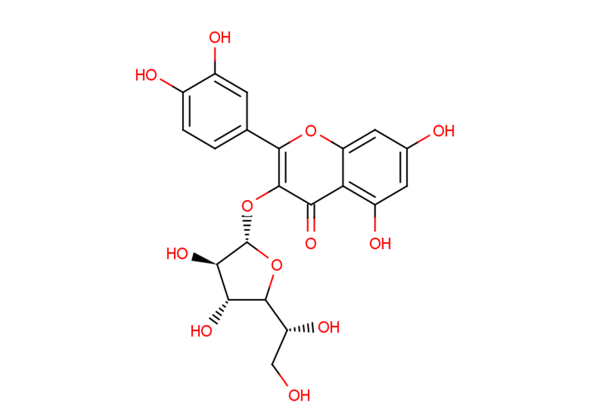 IsoquercitrinͼƬ