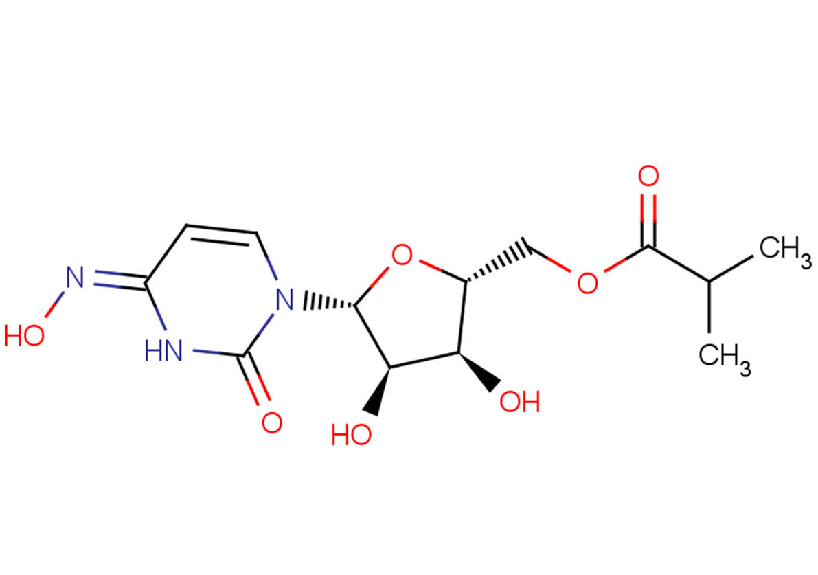 MolnupiravirͼƬ