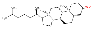 5α-Cholestan-3-one图片