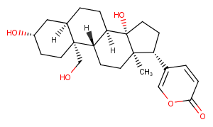 19-HydroxybufalinͼƬ