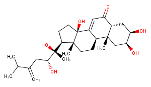 Polyporusterone BͼƬ