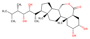 BrassinolideͼƬ