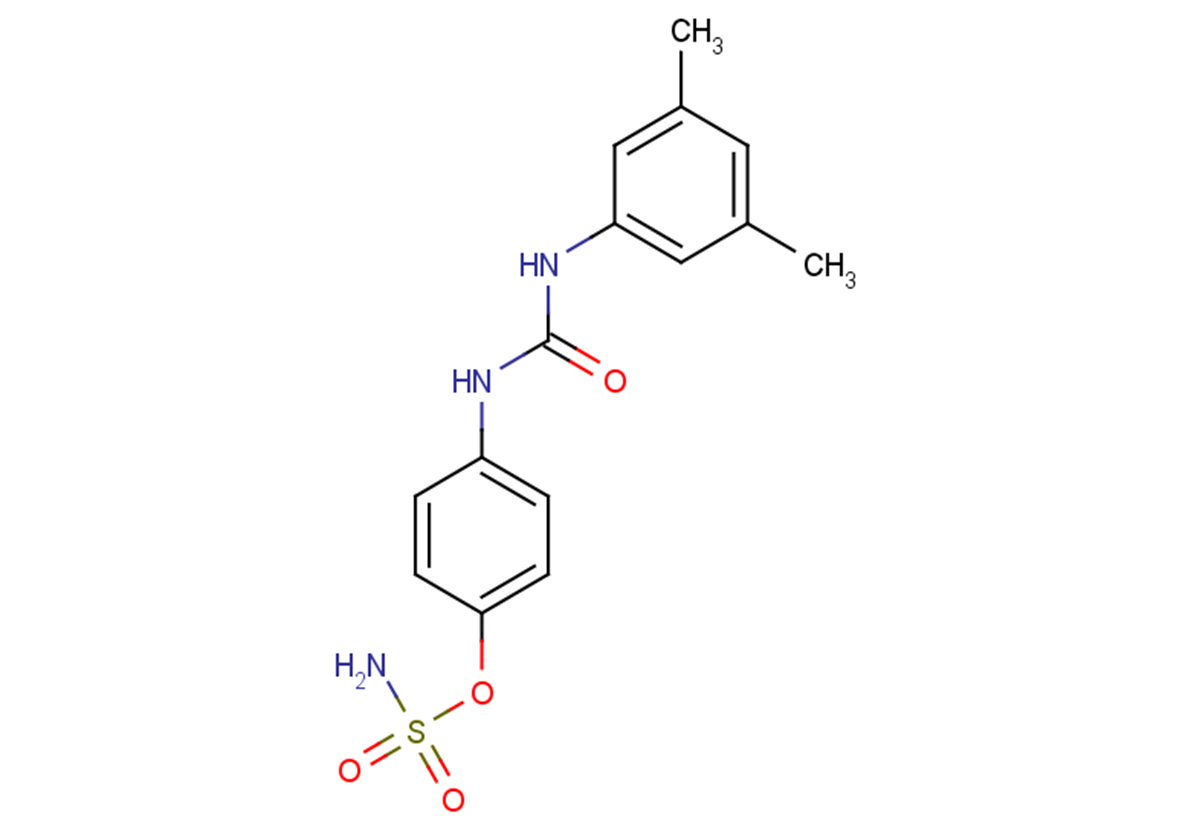 CAIX Inhibitor S4ͼƬ