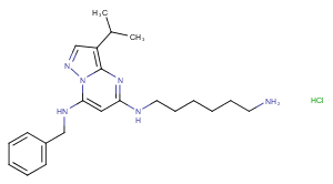 BS-181 hydrochlorideͼƬ