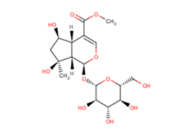 Shanzhiside methyl esterͼƬ