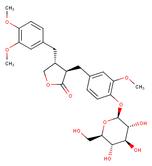 ArctiinͼƬ