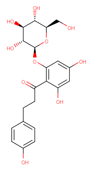 PhlorizinͼƬ