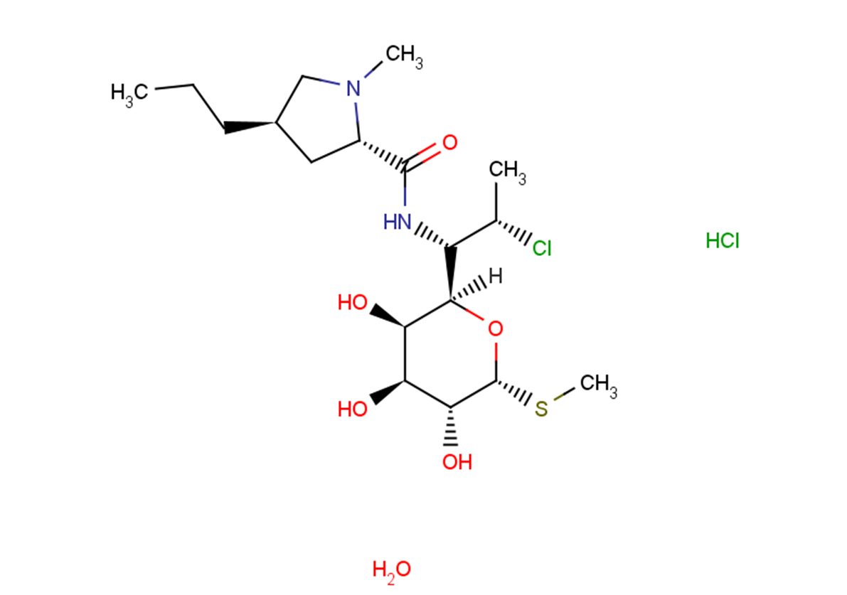 Clindamycin hydrochloride monohydrateͼƬ