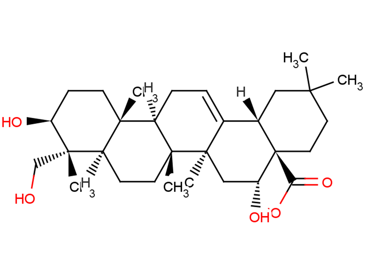 CaulophyllogeninͼƬ