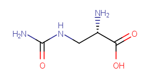 L-AlbizziinͼƬ