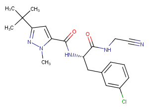 Cathepsin Inhibitor 1ͼƬ