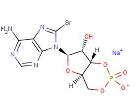 8-Bromo-cAMP sodium saltͼƬ