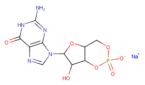 GUANOSINE 3':5'-CYCLIC MONOPHOSPHATE SODͼƬ