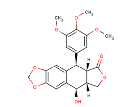 PicropodophyllotoxinͼƬ