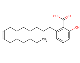 Ginkgolic AcidͼƬ