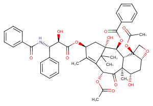 Paclitaxel图片