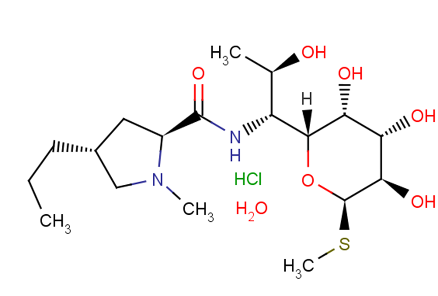 Lincomycin hydrochloride monohydrateͼƬ