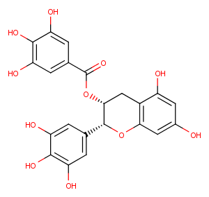 (-)-Epigallocatechin GallateͼƬ