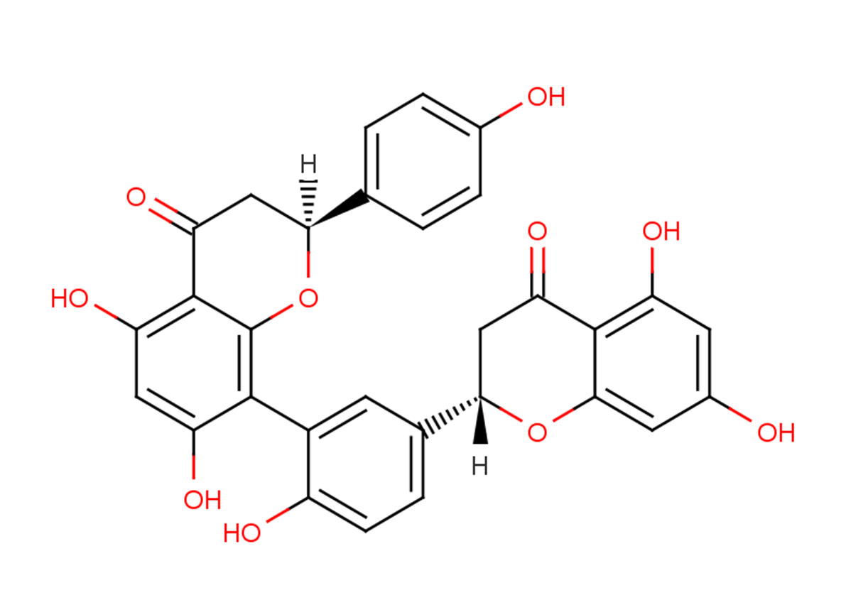 TetrahydroamentoflavoneͼƬ