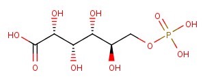 6-Phosphogluconic acidͼƬ