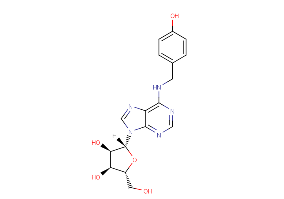 N6-(4-Hydroxybenzyl)adenosineͼƬ
