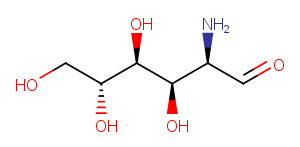 GlucosamineͼƬ