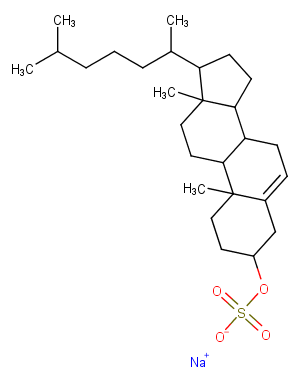 Cholesteryl sulfate sodiumͼƬ