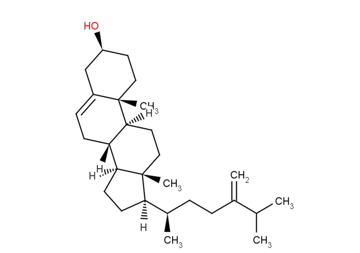 24-MethylenecholesterolͼƬ