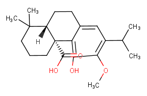 12-O-Methylcarnosic acidͼƬ