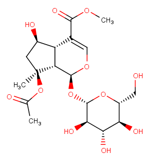 BarlerinͼƬ