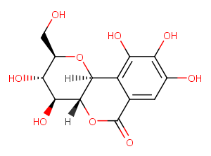 NorbergeninͼƬ