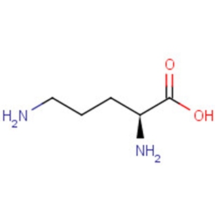 L-OrnithineͼƬ