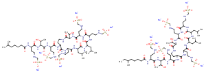 Colistin methanesulfonate sodium saltͼƬ