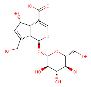 Deacetylasperulosidic Acid图片