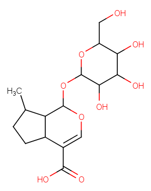 8-Epideoxyloganic acidͼƬ