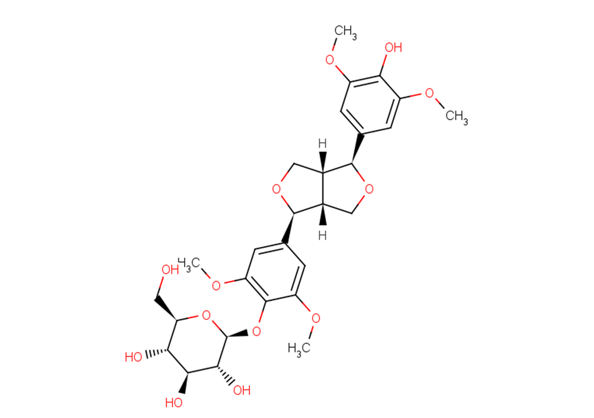 Acanthoside BͼƬ