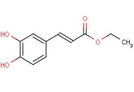 Ethyl CaffeateͼƬ