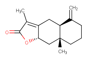 Atractylenolide IIͼƬ