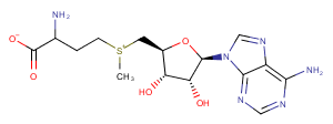 S-Adenosyl-DL-methionineͼƬ