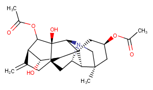 Guanfu base AͼƬ