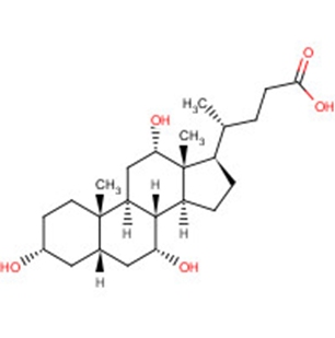 Cholic acidͼƬ