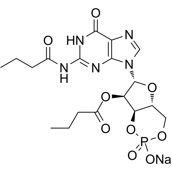 Dibutyryl-cGMP sodiumͼƬ