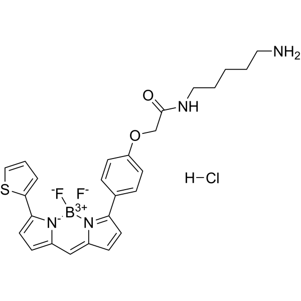 BODIPY TR CadaverineͼƬ