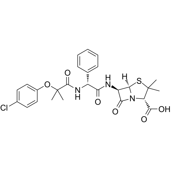 FibracillinͼƬ