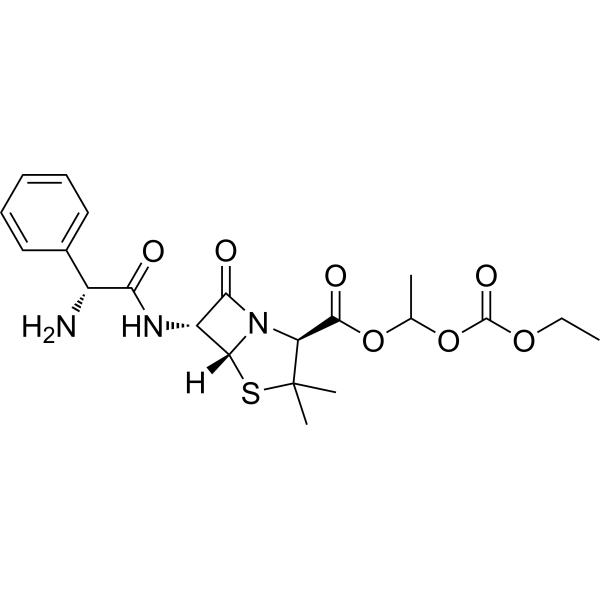Bacampicillin图片