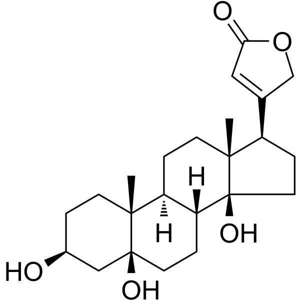 PeriplogeninͼƬ