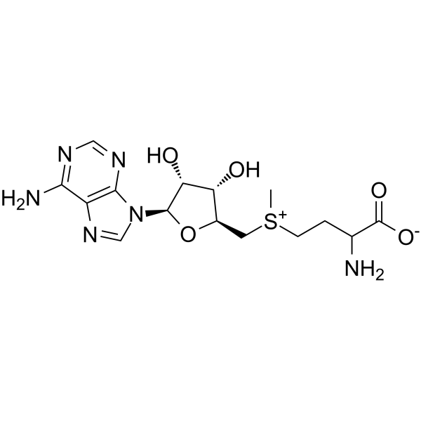 S-Adenosyl-DL-methionineͼƬ