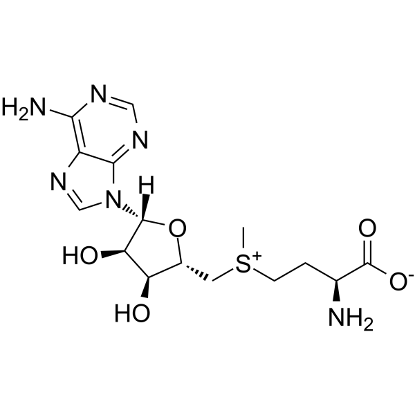 S-Adenosyl-L-methionineͼƬ