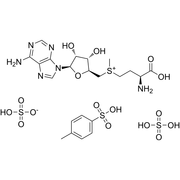 S-Adenosyl-L-methionine disulfate tosylateͼƬ